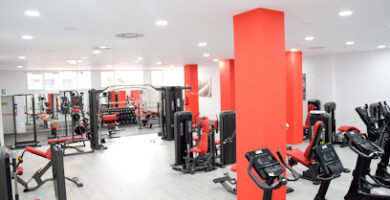 Gallery Gym