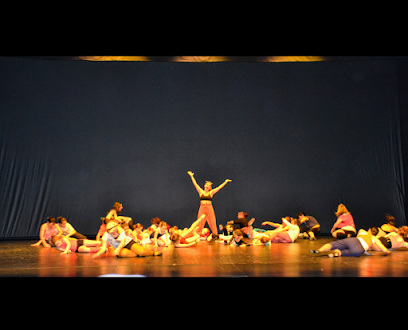 ACADEMIA DE BAILE VICTORIA GIL DANZA & ESCENA