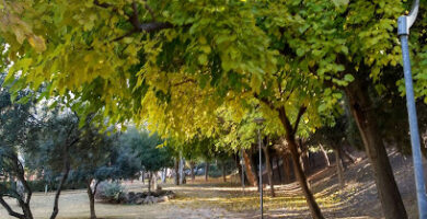 Jardín Botánico