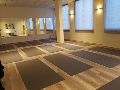 MEDITARE "AULA DE YOGA & BIENESTAR"