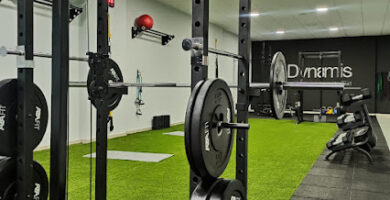 Centro de Entrenamiento Dynamis