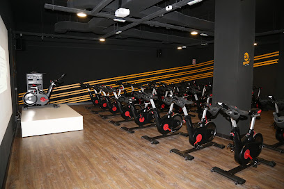 Synergym Valencia Peset