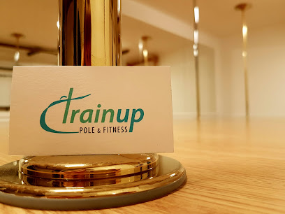 Trainup pole & fitness