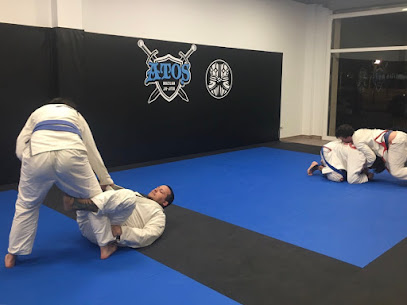 Loyalty Jiu Jitsu Vila Seca