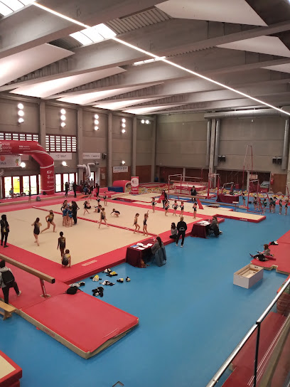 Pabellón de gimnasia artística Salt