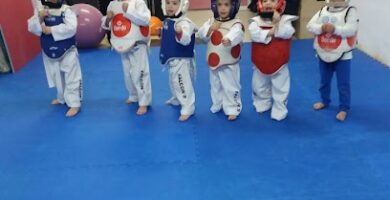 Gimnasio taekwondo Falcon&apos;s