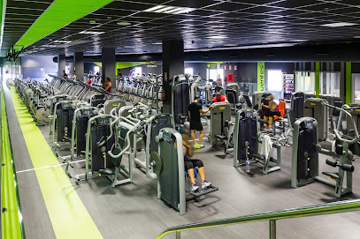 Dreamfit Castellón