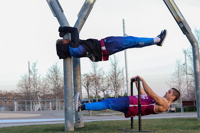 ASOCIACIÓN ARAGONESA DE CALISTENIA & STREET WORKOUT