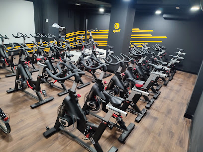 Synergym Mallorca Les Estacions