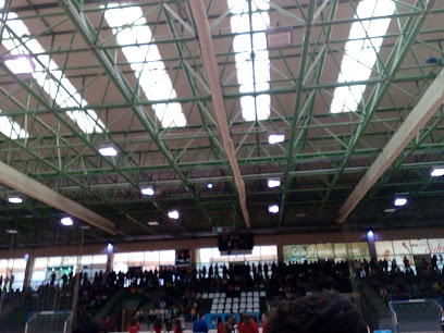 Gimnasio Municipal Pedro Delgado