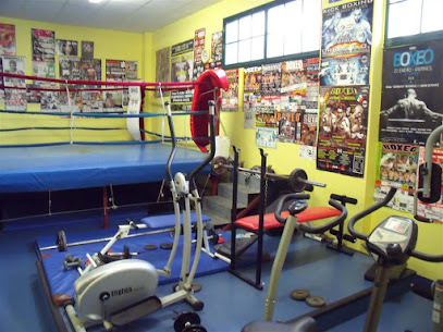 Gimnasio Paco Bueno Udal Ginasiolekua