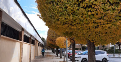 Polideportivo Rey Juan Carlos I