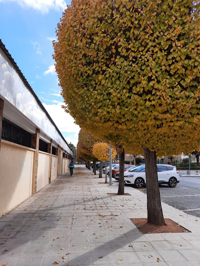 Polideportivo Rey Juan Carlos I