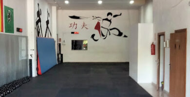 Club Andaluz de Wushu Kungfu y Taichi