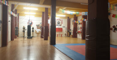 Asociacion riojana de kung fu