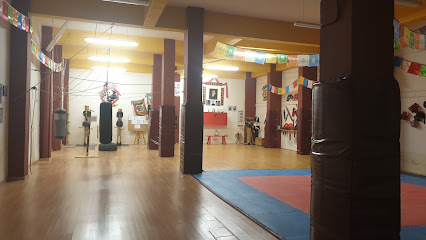 Asociacion riojana de kung fu