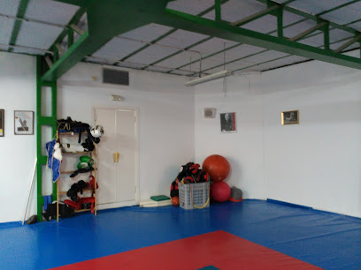 Gimnasio Raúl Calvo