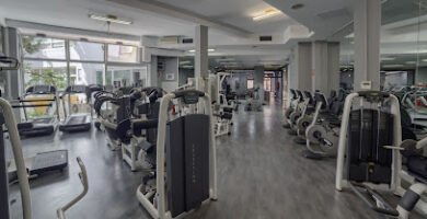 Gimnasio Iron Salfer