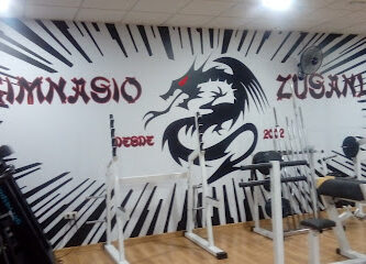 Gimnasio Zusanli