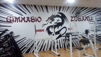 Gimnasio Zusanli