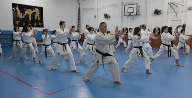 Gimnasio Aragón Karate