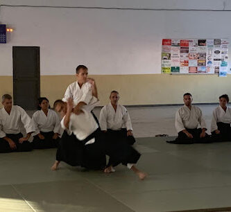 Aikido Ávila Homura