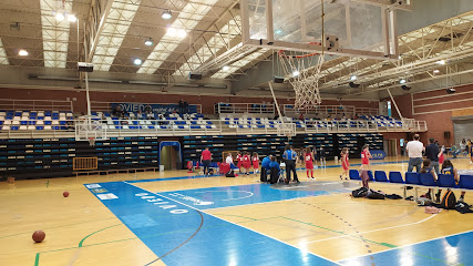 Polideportivo de Pumarín Luis Riera Posada