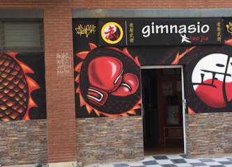 Gimnasio Lao Jia (Escuela de Boxeo y Artes Marciales en Cuenca)