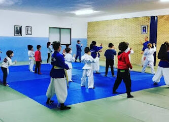 Dojo Sakura Nanbudo (Gimnasio Ibón)