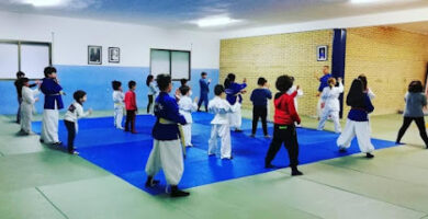 Dojo Sakura Nanbudo (Gimnasio Ibón)