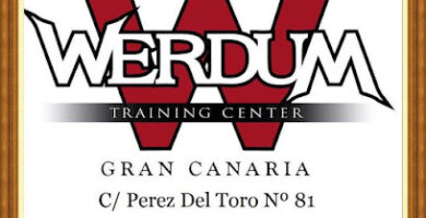 Werdum Training Center