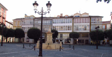 Escuela de Yoga La Casa del Árbol