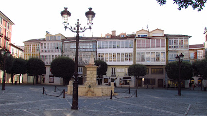 Escuela de Yoga La Casa del Árbol