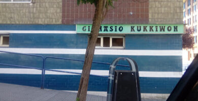 Gimnasio Kukkiwon