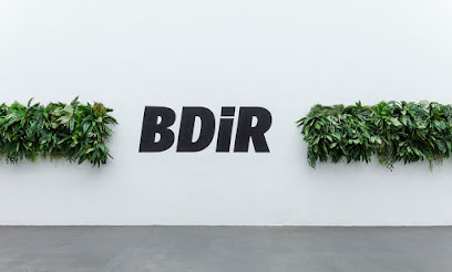 BDiR Mallorca