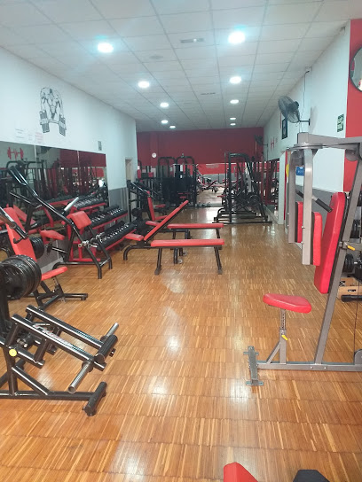 IRON GYM Fitness Málaga