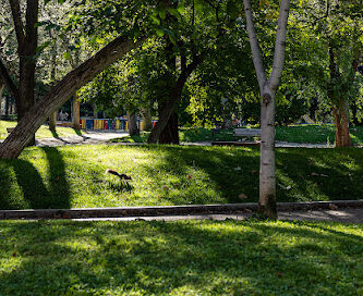 Parque de los Moralejos