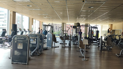 Gimnasio Talamillo